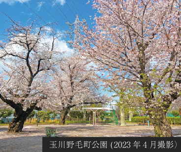 多摩川野毛町公園(2023年４月撮影）